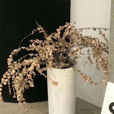 汇川福瑞交流群